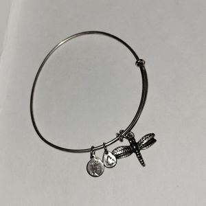 🌸 dragon fly Alex and ani